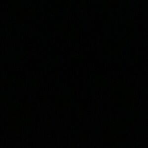 Classic White Michael Kors pants brand new.  Still in plastic with the tags.